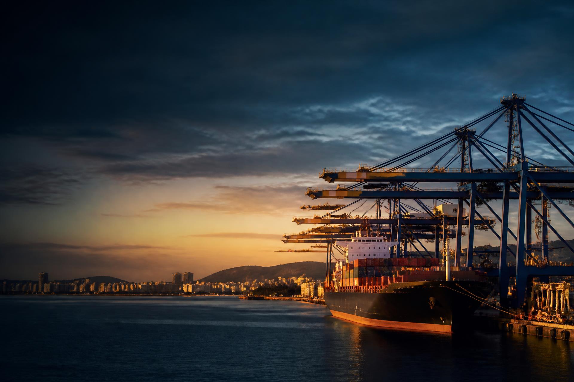 Container vessel and gantry cranes at a South African commercial port